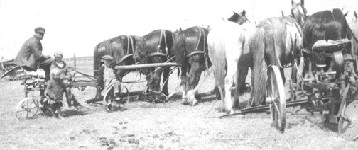 Henry Badt, Jr., on the three horse plow. His son, Alex, and daughter, Ann, beside him and son, Bill, sitting on the wheel. Picture taken in 1924. (Photo courtesy of Bill Badt, Savage)