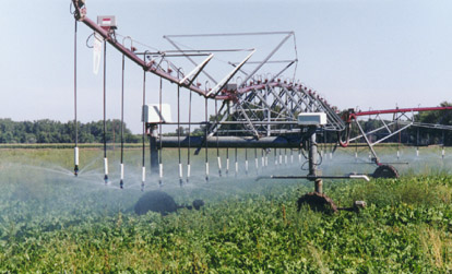 Overhead Sprinklers